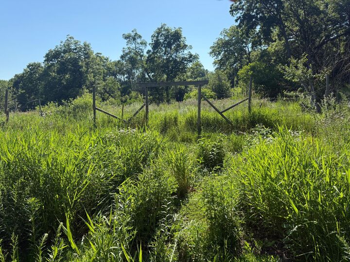 Property Photo: 130 10th Avenue NW MN 56334