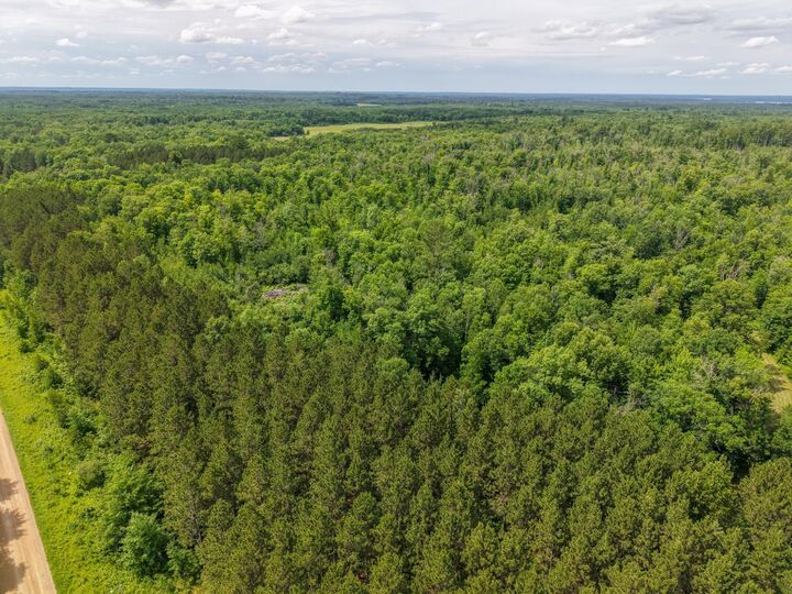 Property Photo: 80 Acres Pike Bay Loop Road NW MN 56633