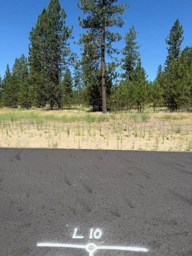 Property Photo: Lot 10 Long Lake Estates Way WA 99026