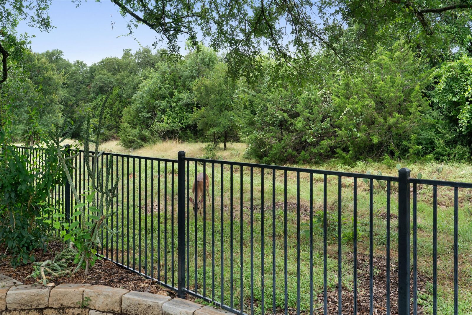 Property Photo:  105 Goose Island Drive  TX 78633 