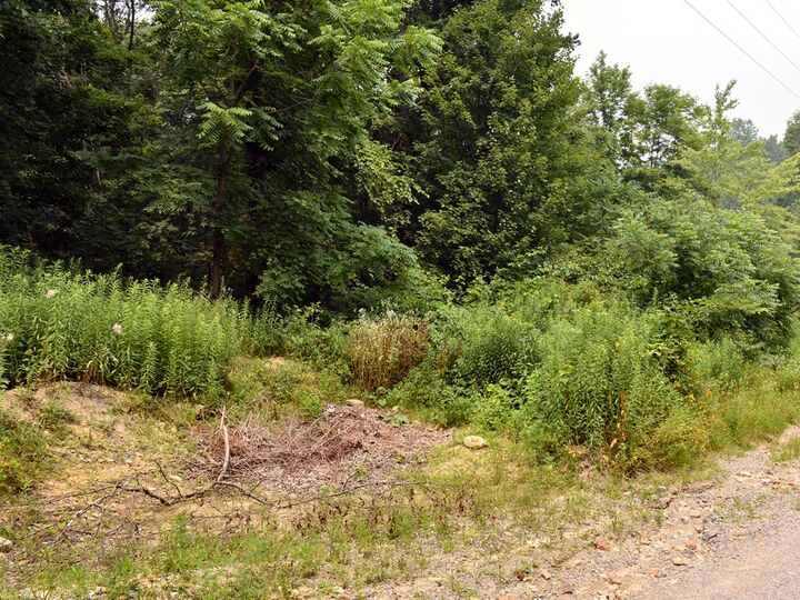 Property Photo:  65-050680 Beatty Avenue  PA 16335 