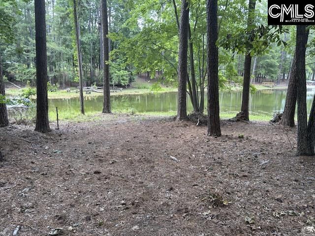 Property Photo: 110 John Long SC 29054