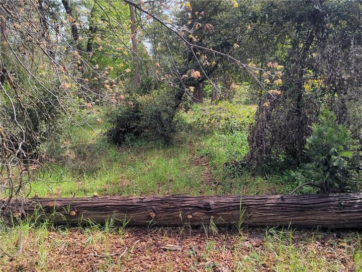 Property Photo:  53309 Road 432  CA 93604 