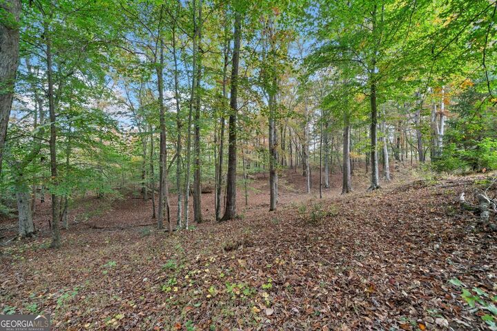 Property Photo: 0 Ammons Drive GA 30183