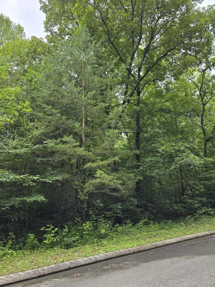 Property Photo:  Lot 135 Lower Brow Road  TN 37327 