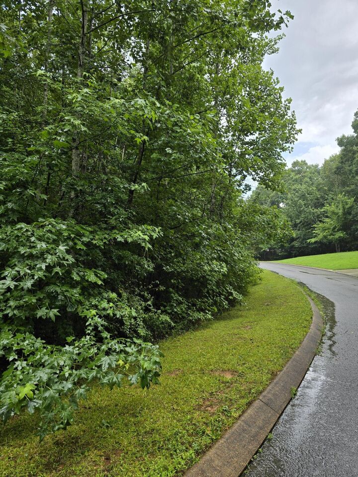 Property Photo: 0 Big Cedar Drive TN 37327