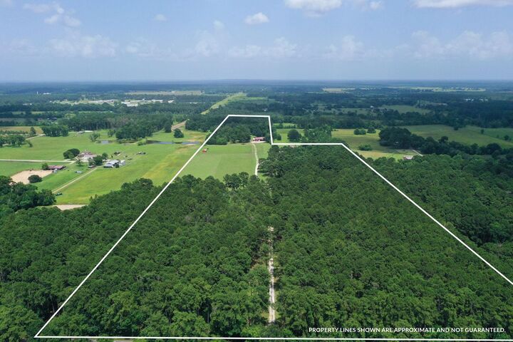 Property Photo: 550 County Road 2267 TX 77327