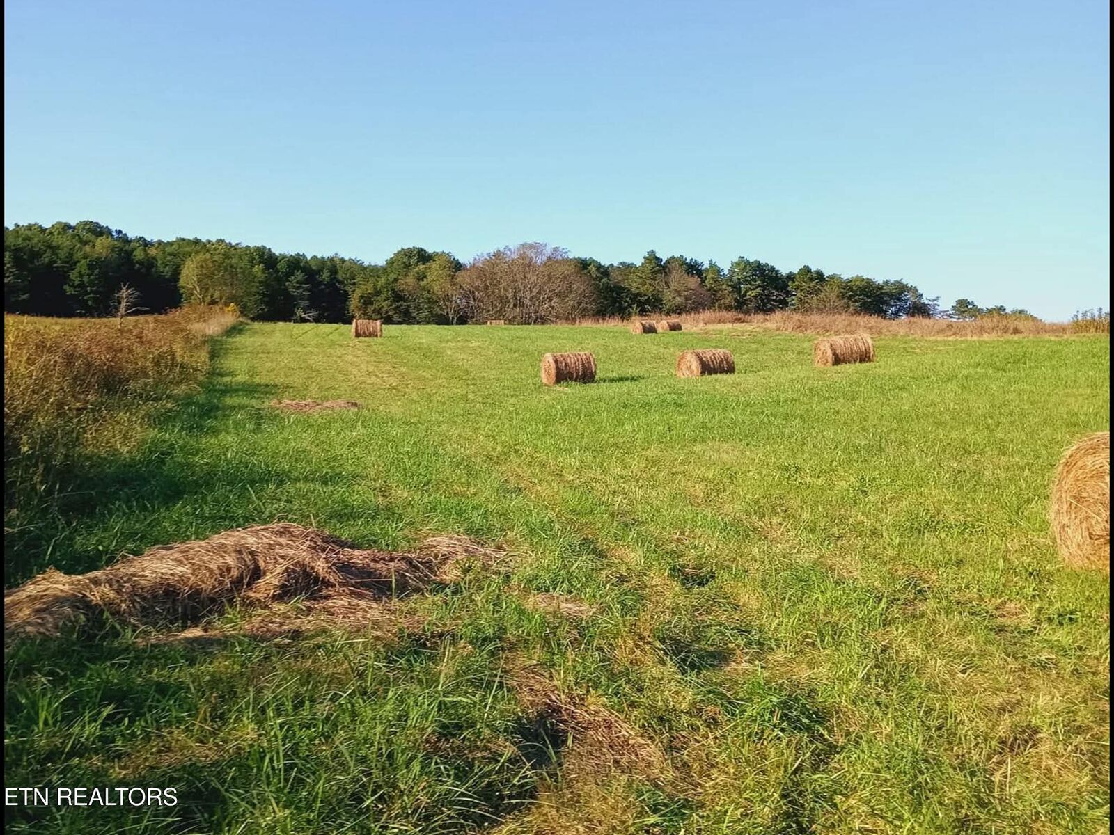 Property Photo: 436 Thorngrove Pike TN 37764