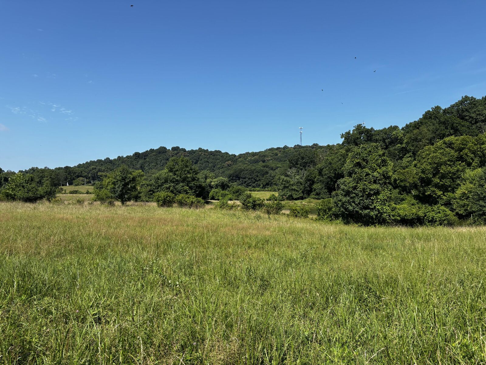 Property Photo: 856 Kentucky Avenue KY 40601