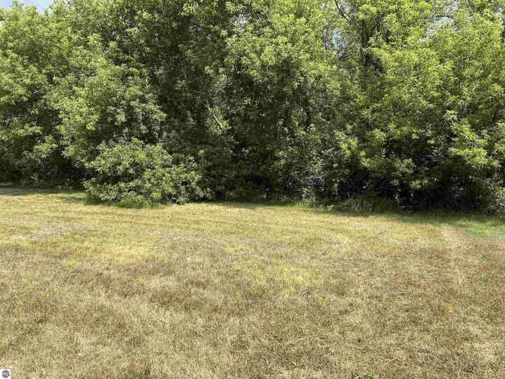 Property Photo: 307 Red Maple Lane MI 48883