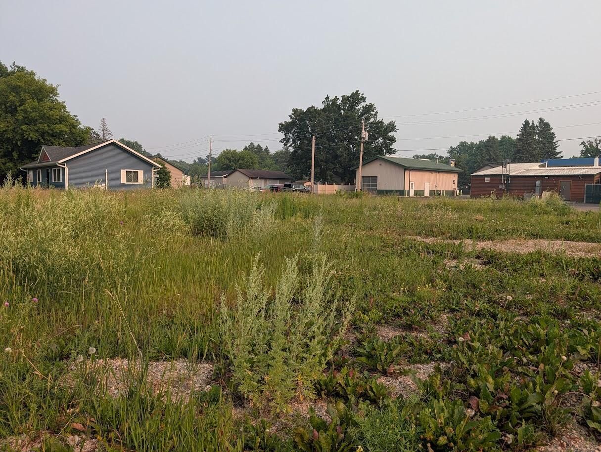 Property Photo: Tbd Poplar Street MN 56441