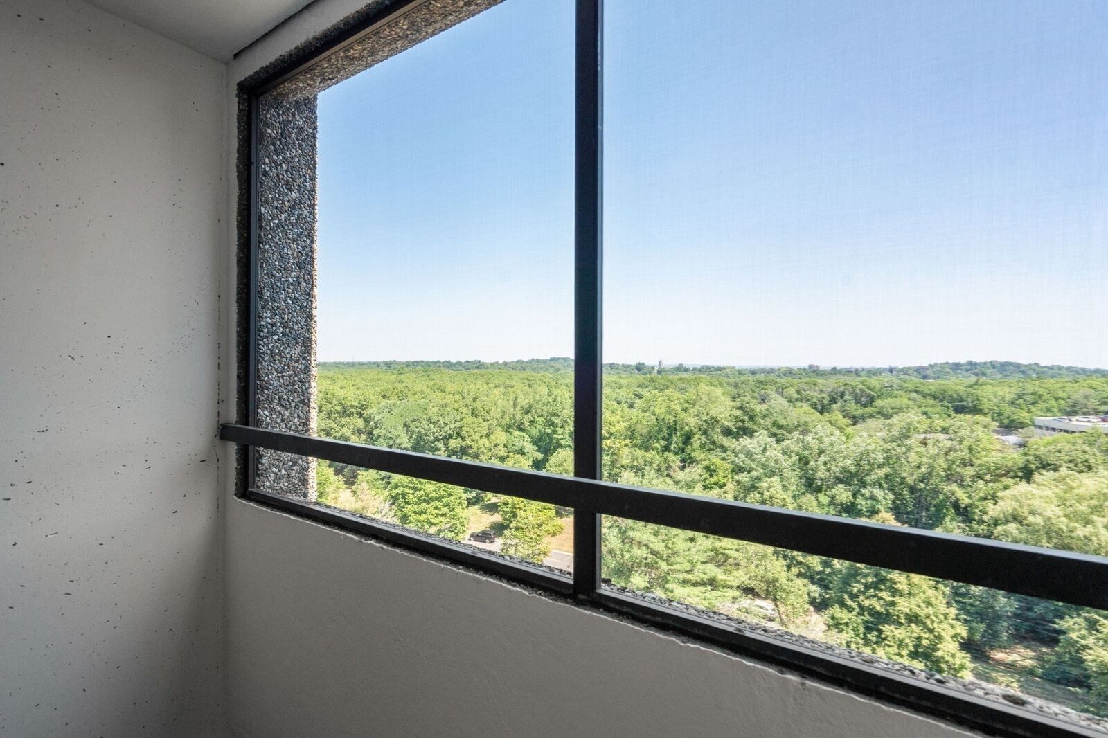 Property Photo: 250 Hammond Pond Parkway 1208N MA 02467