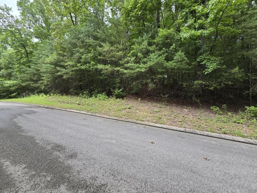 Property Photo:  Lot 134 Lower Brow Road  TN 37327 