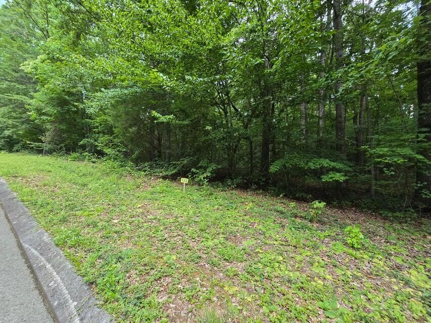 Property Photo:  Lot 138 Lower Brow Road  TN 37327 