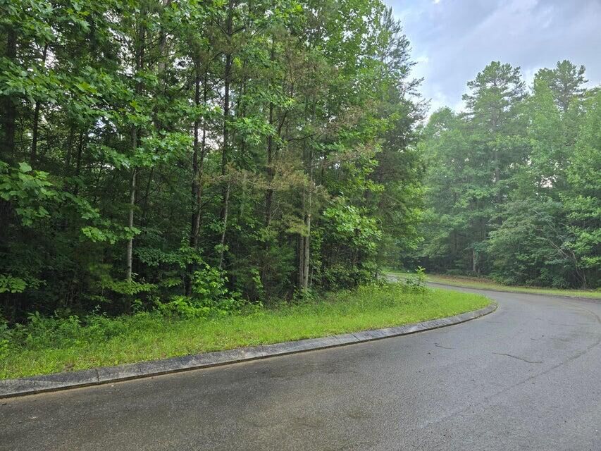 Property Photo:  Lot 156 Lower Brow Road  TN 37327 
