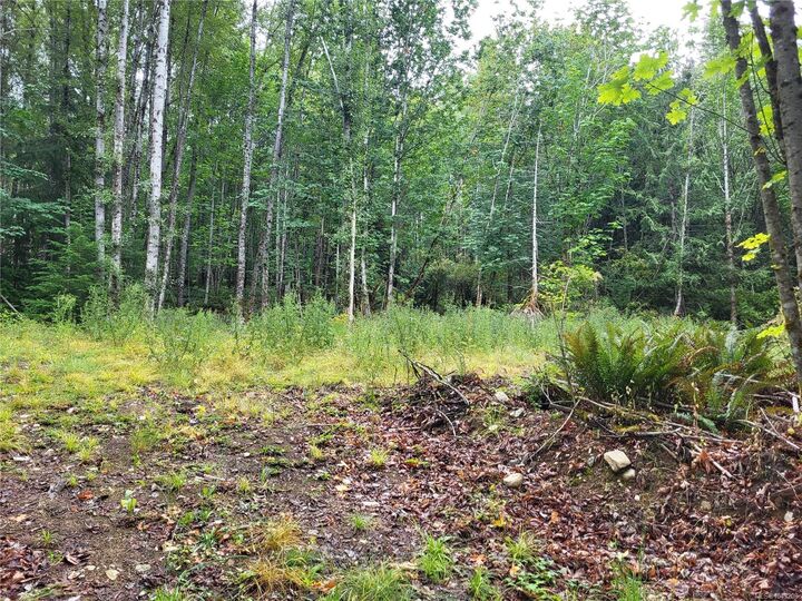7531 Cowichan Lake Rd Lot B — photo 1