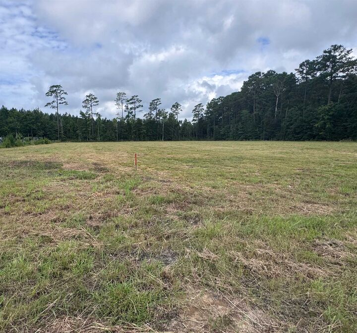Property Photo: 6178 Highway 701 South SC 29526