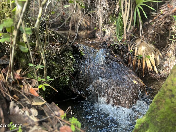 Property Photo:  0 Foxhunt Road  FL 32438 