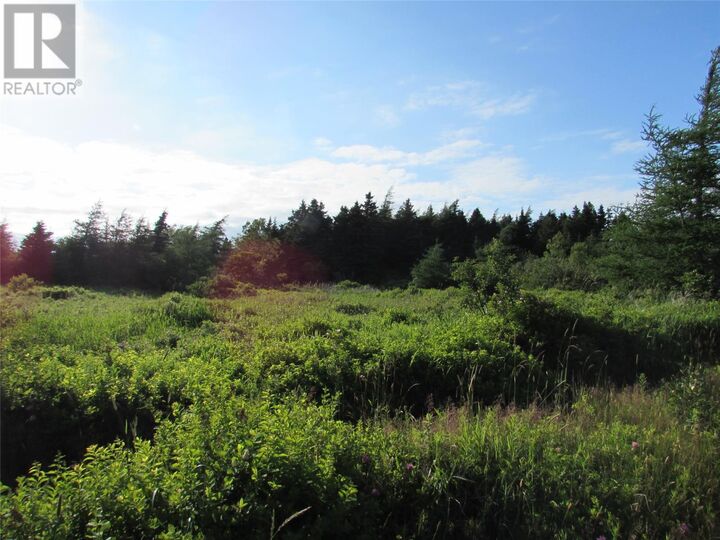 Property Photo:  16 A Salmonier Line  NL A0A 2R0 