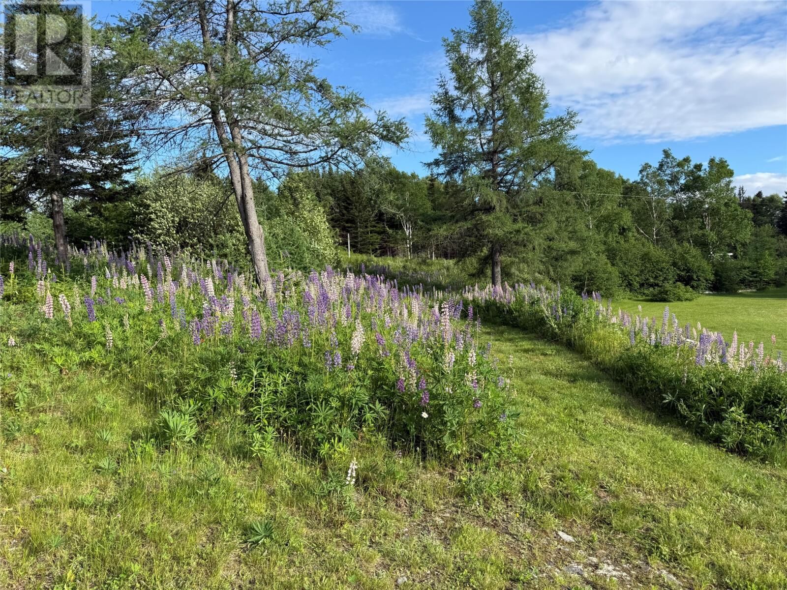 Property Photo:  0 Route 420  NL A0K 2Y0 