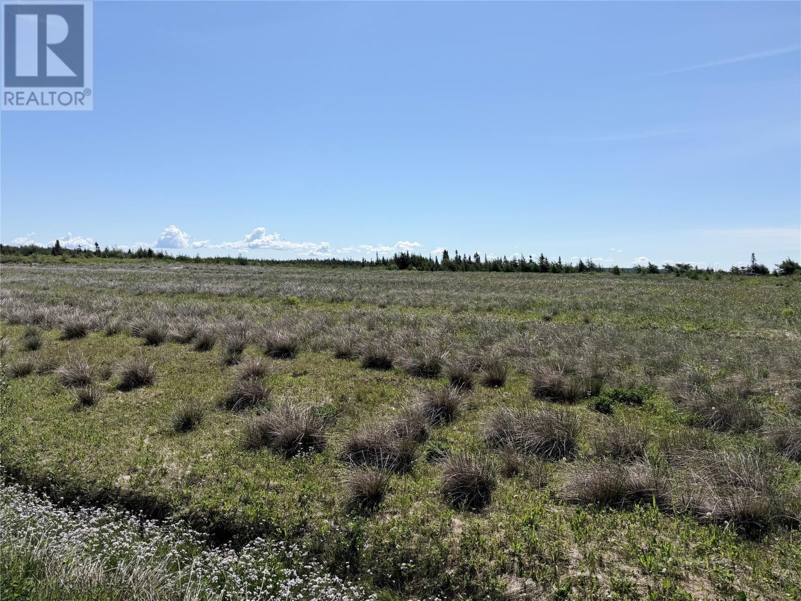 Property Photo:  152 Hodgewater Line  NL A0B 1R0 