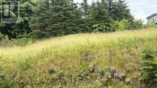 #37 Neary'S Pond Road — photo 1