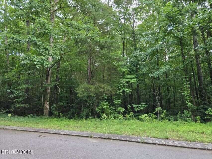 Property Photo:  Lot 144 Lower Brow Rd  TN 37327 