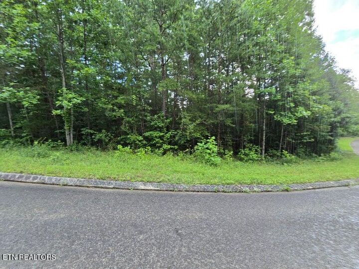 Property Photo:  Lot 156 Lower Brow Rd  TN 37327 