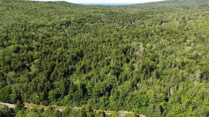 Lot Old Mountain Road — photo 1