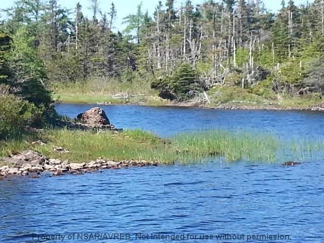 Property Photo:  Lot 13 East Side Grand River Road  NS B0E 1M0 