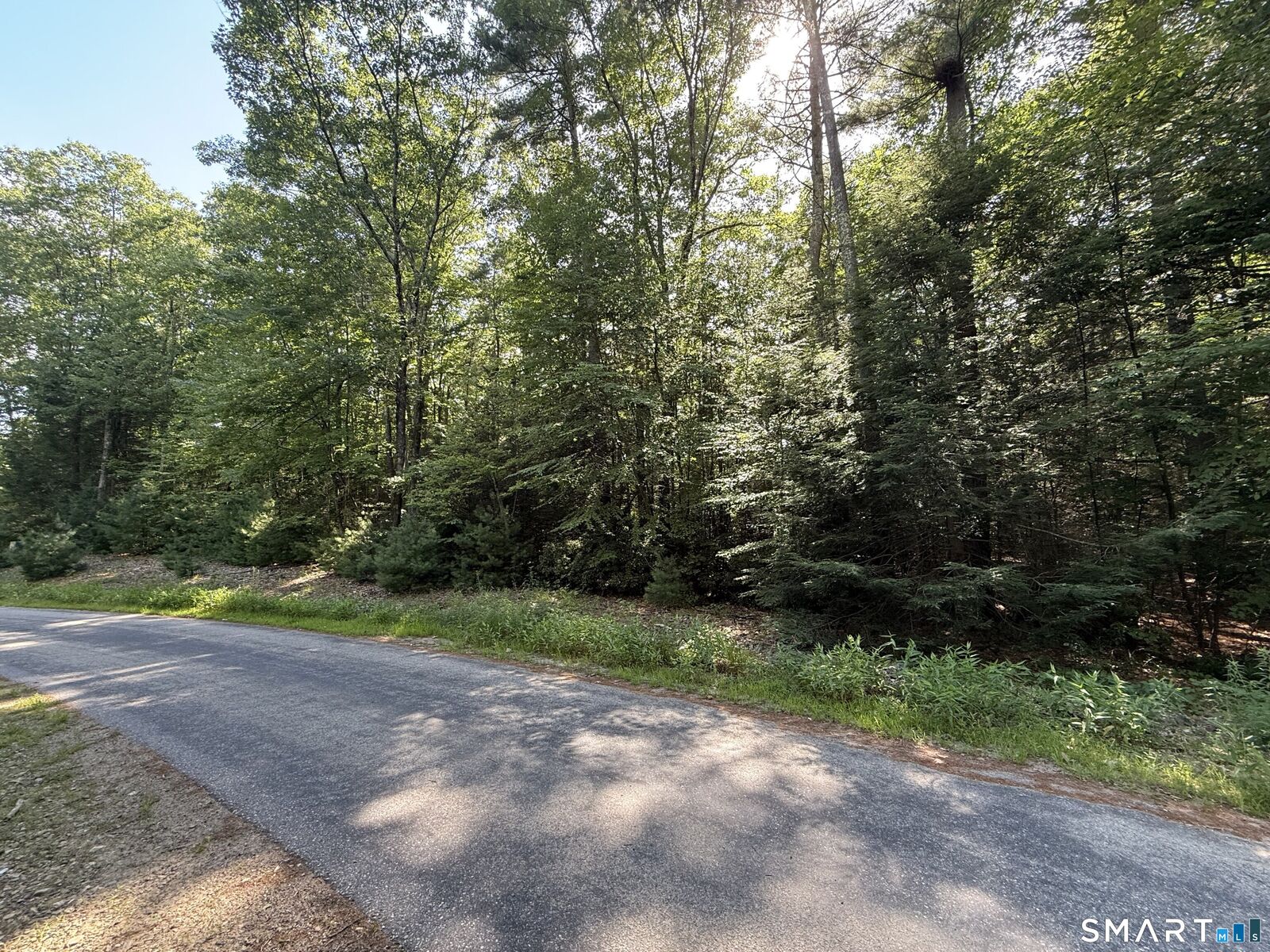 Property Photo:  Tayler Trail  CT 06281 