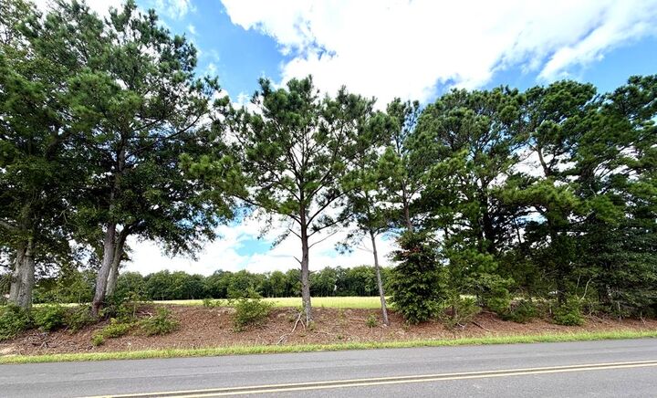 Property Photo:  Parcel 4 Iris Road  AL 36301 