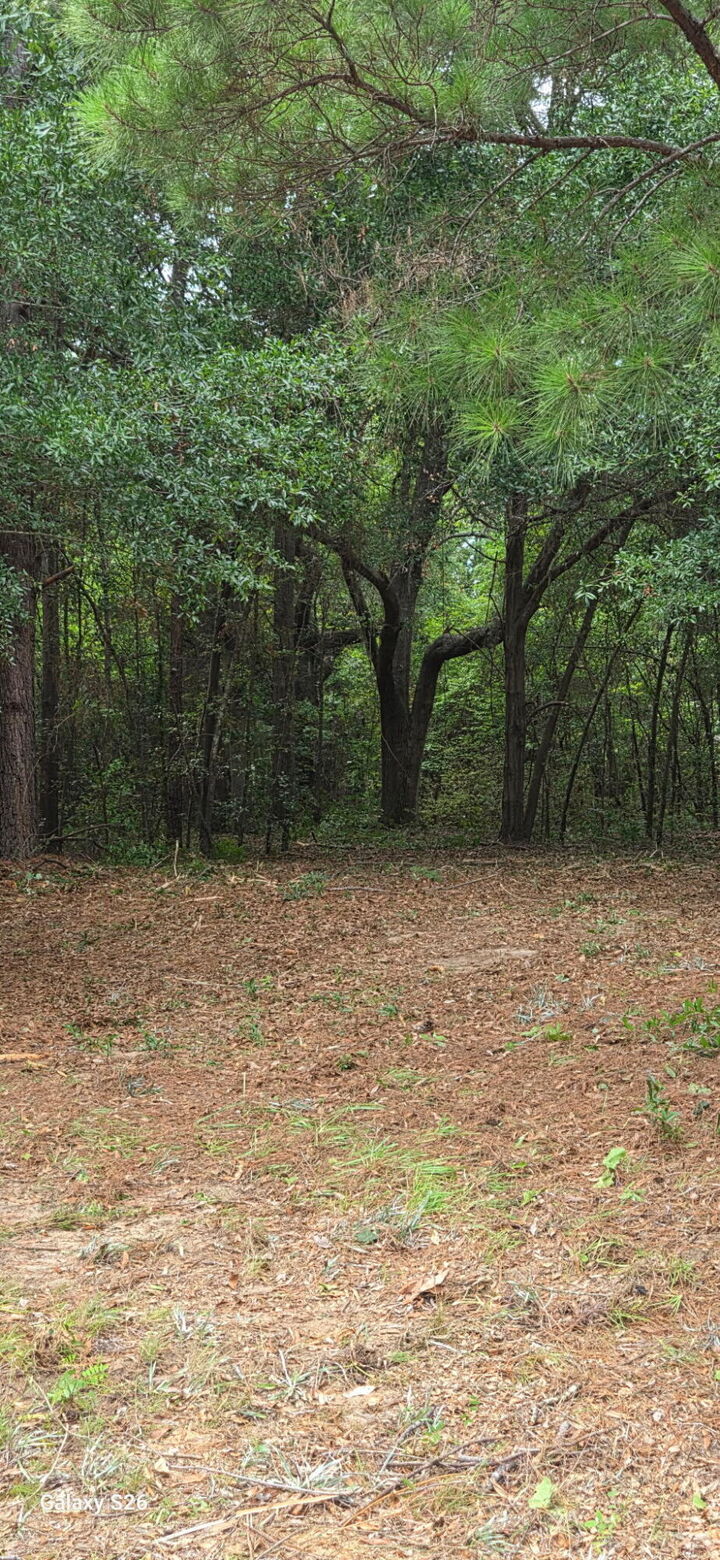Property Photo: 00 Cooper Lane SC 29148