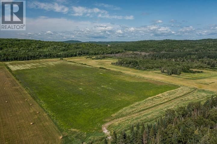 Property Photo:  875 Lake George Rd E, Laird Township  ON P0S 1C0 
