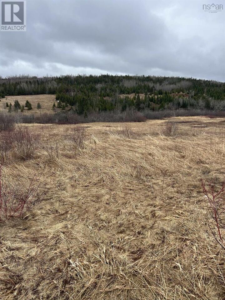 Property Photo:  4207 South River Road  NS B2G 2H9 