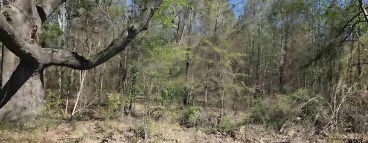 Property Photo:  2415 Fm 17  TX 75410 
