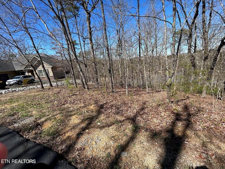 Property Photo:  313 Skiatook Circle  TN 37774 