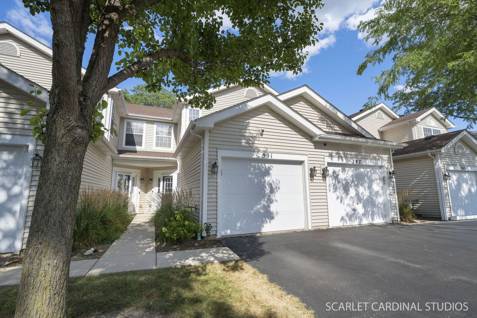 Property Photo:  391 Hunterdon Court 4391A  IL 60194 