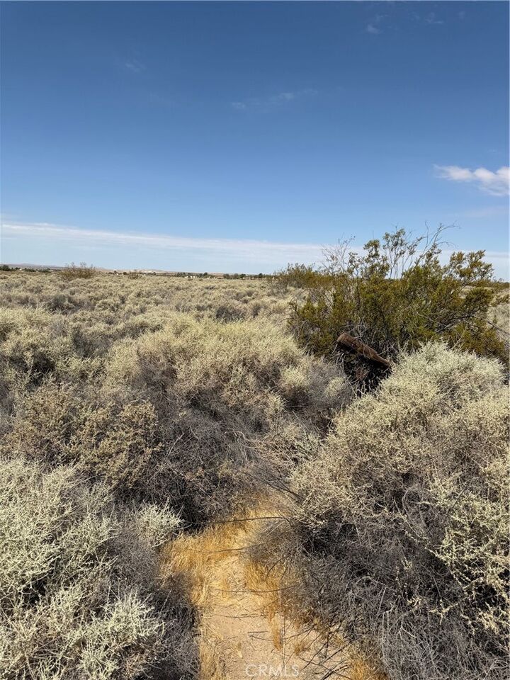 Property Photo: 0 Wheeler CA 92342