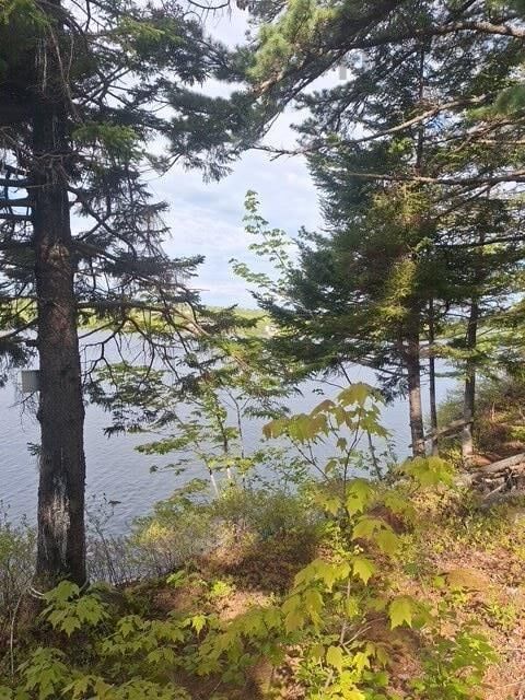 Property Photo:  Thompson Lake Unknown  NS B3E 1J1 