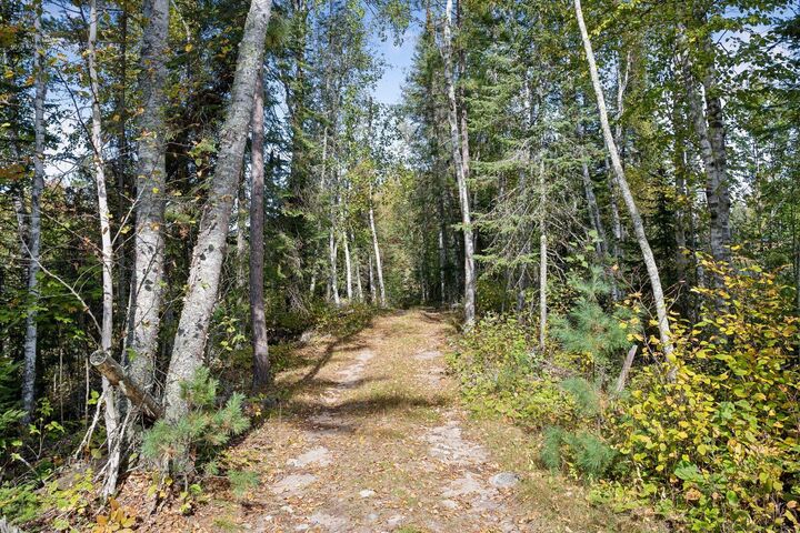 Property Photo:  46xxx Smith Lake Road  MN 56657 