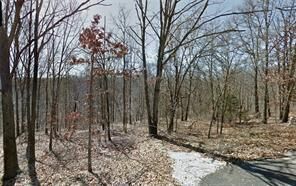 Property Photo:  24 Tummell Drive  AR 72715 
