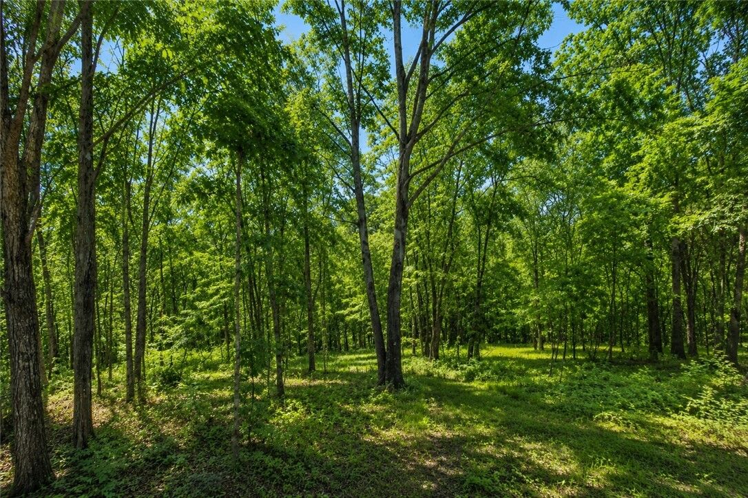 Property Photo:  24 Tummell Drive  AR 72715 