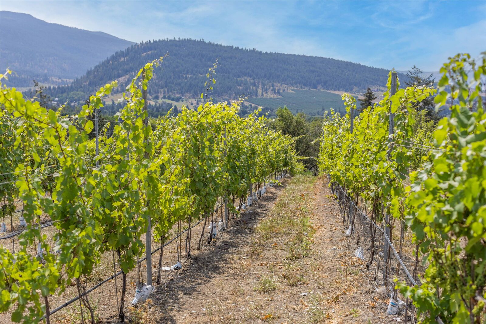 Property Photo:  9269 Highway 6  BC V1B 3B5 