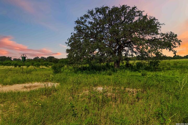 Property Photo: 2194 S Ranch Rd 187 TX 78881