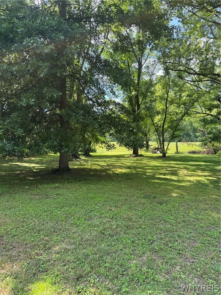 Property Photo: 56 Pine Street NY 14770