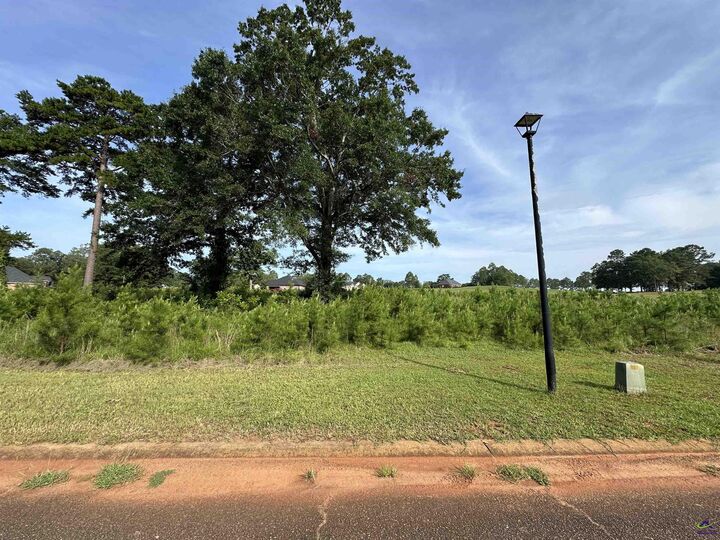 Property Photo: Lt 21 Camden Way GA 31063