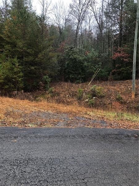 Property Photo:  00 Flag Pole Circle  GA 30540 