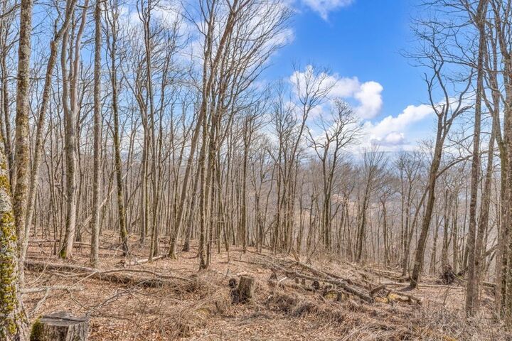 Property Photo:  Lot 86 Elk Mountain Parkway  NC 28684 