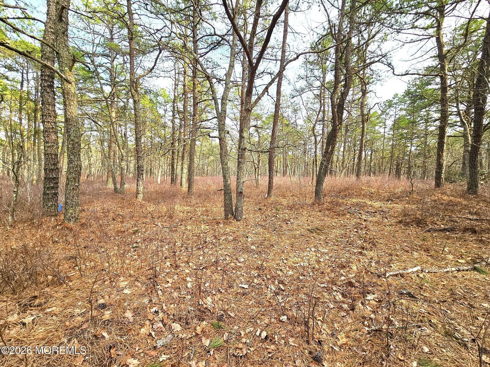 Property Photo:  22 Pinewood Drive  NJ 08087 